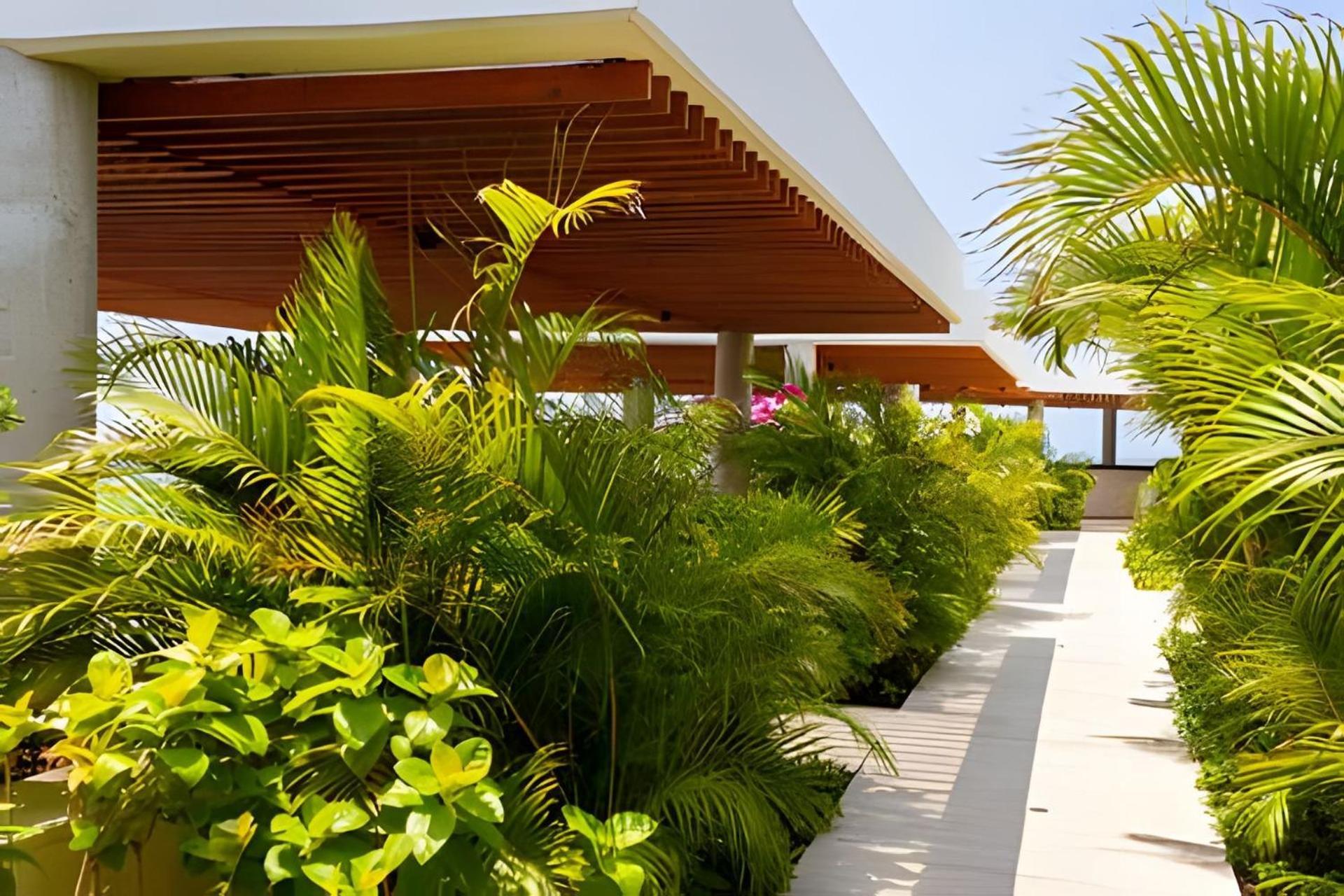 Apartment 2 Con Jacuzzi Frente A Playa Morros *